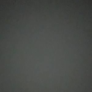 Meet your Posher, Lacy